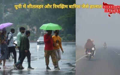 यूपी में शीतलहर और रिमझिम बारिश