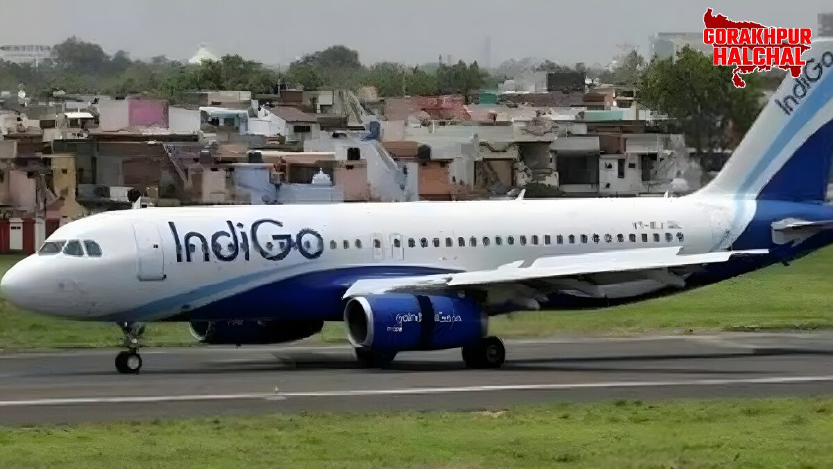 इंडिगो फ्लाइट संकट
