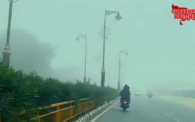 गोरखपुर में सुबह का कोहरा बढ़ा