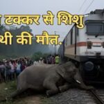 दर्दनाक ट्रेन हादसा