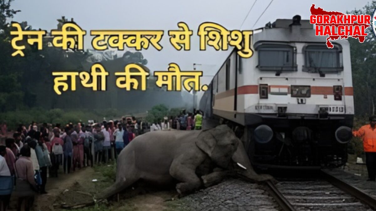 दर्दनाक ट्रेन हादसा