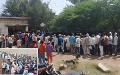 जंगल कौड़िया में स्थिति सबसे गंभीर