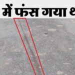 नए साल पर कंझावला जैसा दर्दनाक कांड