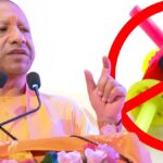 चीनी मांझा पर पूर्ण प्रतिबंध