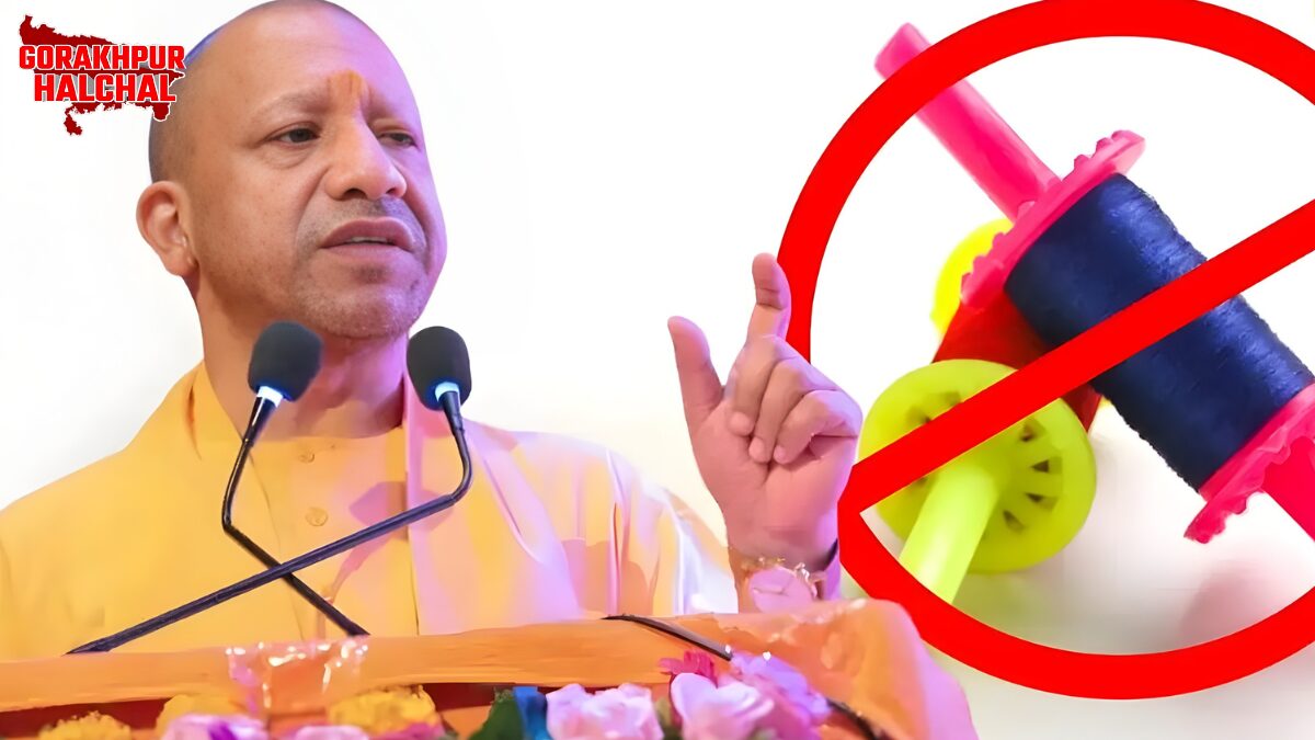 चीनी मांझा पर पूर्ण प्रतिबंध