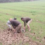 युवक की चाकू मारकर हत्या