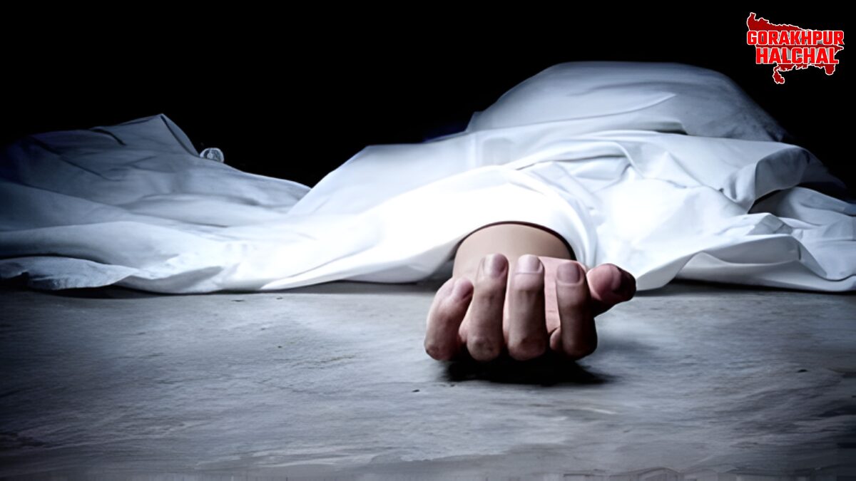 सड़क हादसों