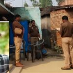 महराजगंज बृजमनगंज