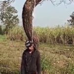 कुशीनगर