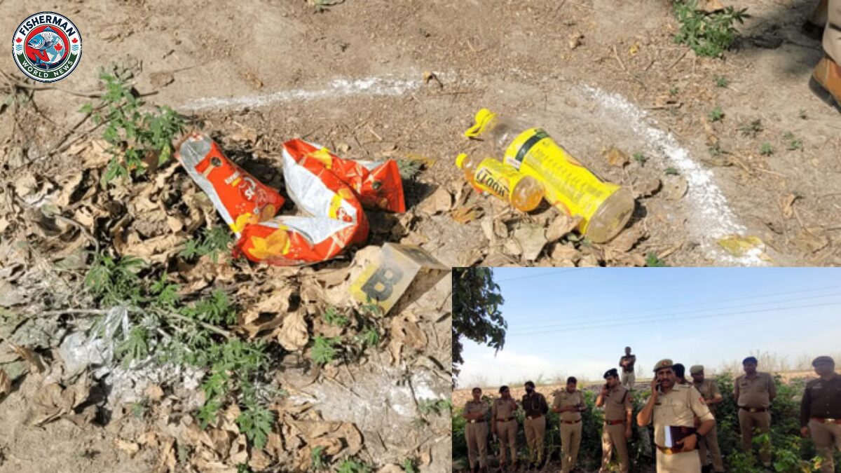 बुलंदशहर खुर्जा में रेलवे ट्रैक पास