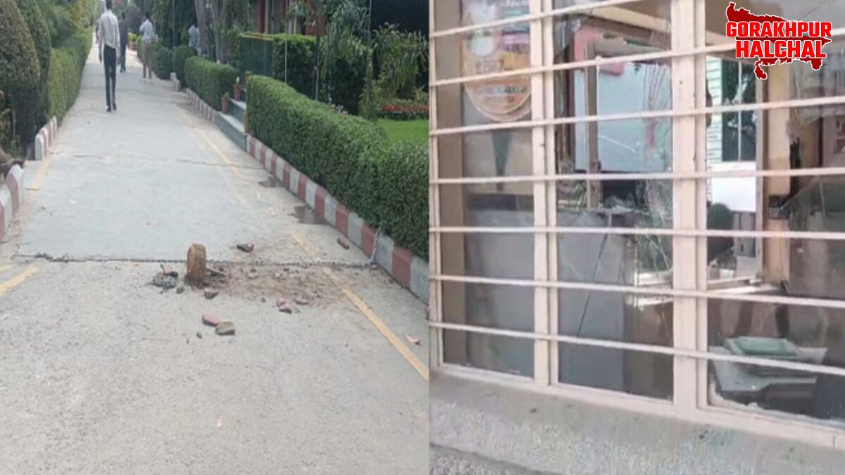 मेरठ विश्वविद्यालय